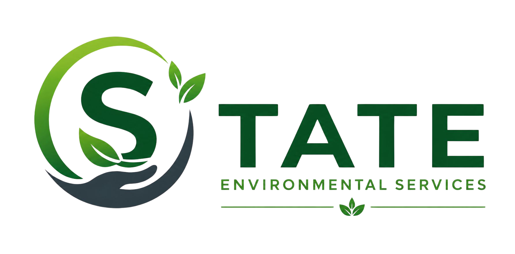 STATE ENVIRONMENTAL SERVICES INC